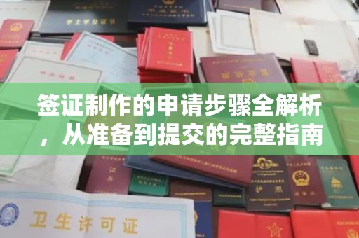 东乡签证制作的申请步骤全解析，从准备到提交的完整指南