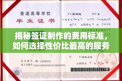 东乡揭秘签证制作的费用标准，如何选择性价比最高的服务？