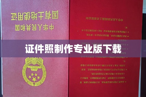 东乡证件照制作专业版下载